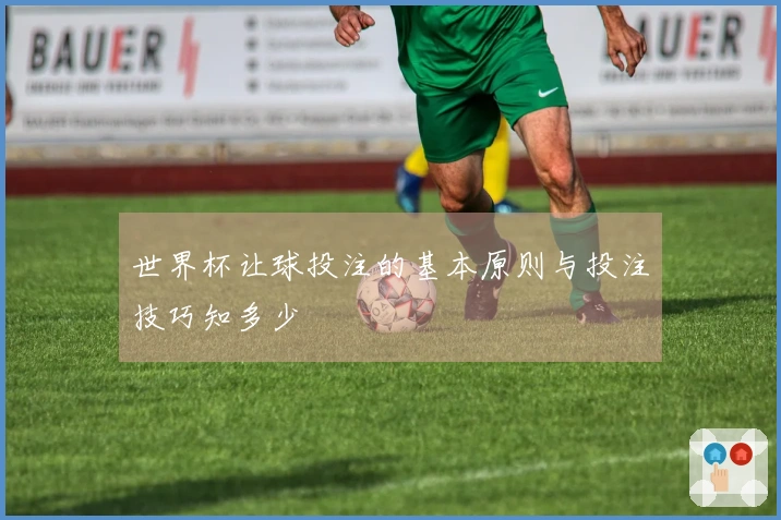 世界杯让球投注的基本原则与投注技巧知多少