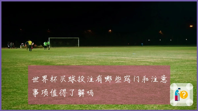 世界杯买球投注有哪些窍门和注意事项值得了解吗