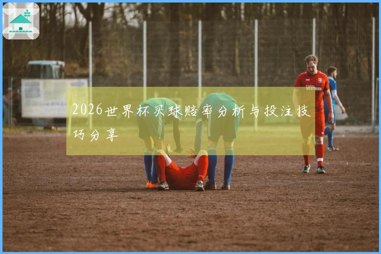 2026世界杯买球赔率分析与投注技巧分享